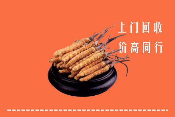 高价求购：聊城茌平区回收散虫草
