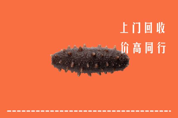 高价求购：聊城茌平区回收海参